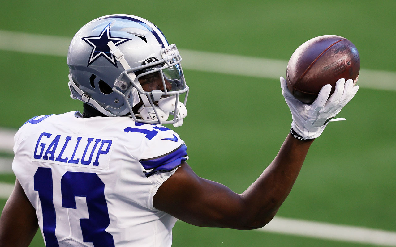 Michael shop gallup fantasy