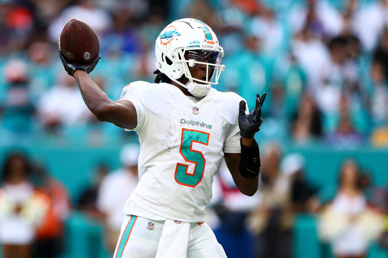 dolphins wr1
