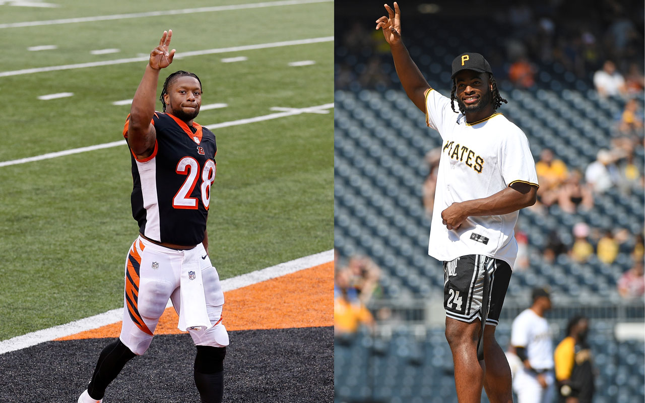 najee harris fantasy football team names