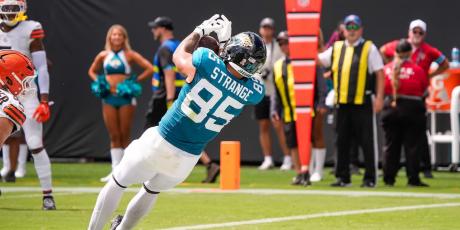 brenton strange touchdown