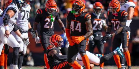 bengals defense