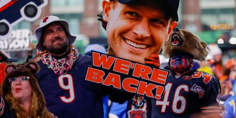 bears signs