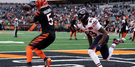 tee Higgins touchdown