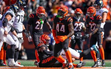 bengals defense