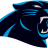 Panthers