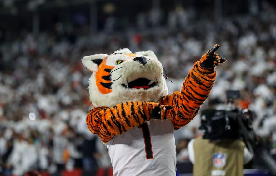 Splash Sports Survivor Picks Week 8: (Bengals over Titans)