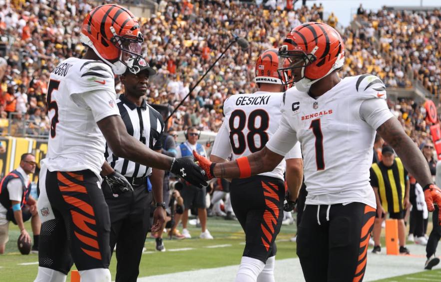 Squirrel Patrol's Week 4 NFL DFS Picks &amp; Cheat Sheet (DraftKings &amp; FanDuel)