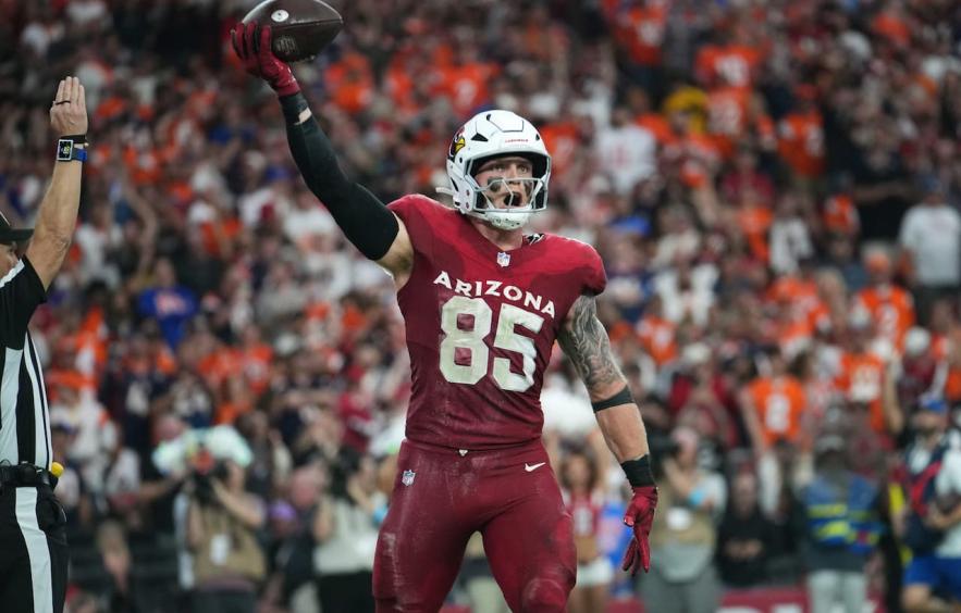 Squirrel Patrol's Week 8 NFL Main Slate DFS GPP Picks