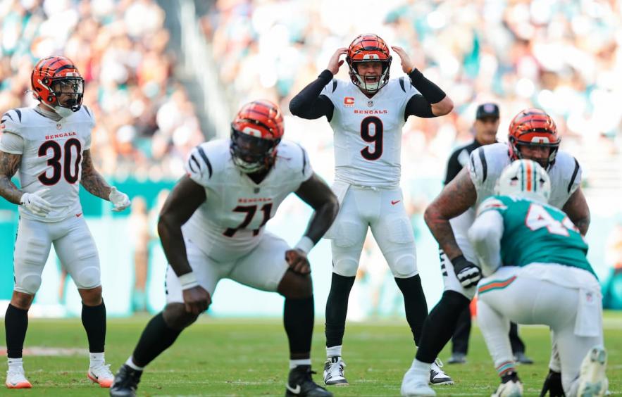 Squirrel Patrol’s Week 17 NFL DFS Picks &amp; Cheat Sheet (DraftKings &amp; FanDuel)