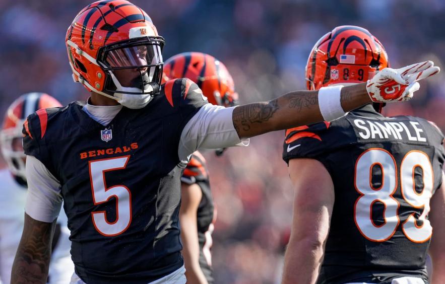Tee Higgins Will Need Better Injury Luck To Reach Full Potential