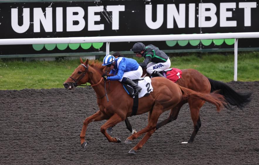 Unibet Promo Code, Bet Bonuses, and Offers Unibet Promo Code, Bet Bonuses, and Offers