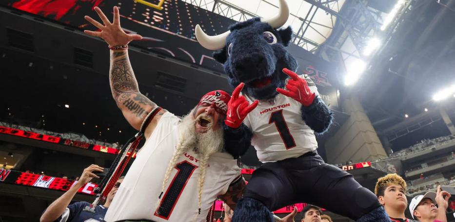 Texan fans 