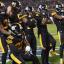 steelers defense