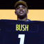 devin bush draft