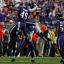 baltimore ravens defense