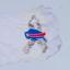 buffalo bills flag in the wind 