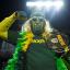 packer fan 