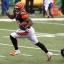 joe mixon bengals