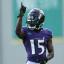 marquise brown point