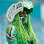 seahawks fan