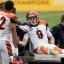 joe burrow cart 