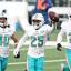 miami dolphins defense 