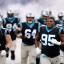 panthers defense