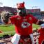 chiefs fan in wolf costume 