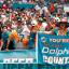 miami dolphin fans 