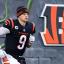 joe burrow bengals