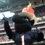 texans mascot new year's hat