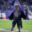 baltimore raven mascot