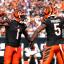 Chase and Higgins celebrating