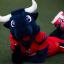 Houston Texan Mascot 