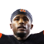 Tee Higgins