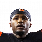 Tee Higgins