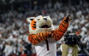 Bengals mascot pointing 