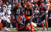 bengals defense
