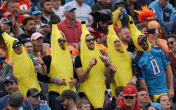 banana fans