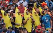 banana fans 