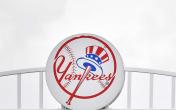 yankees baseball logo