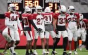 arizona cardinals defense