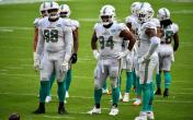 miami dolphins defense 
