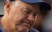 Bill Belichick Patriots