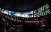 sportsbook casino