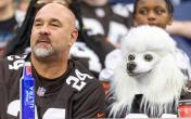 browns fan and a dog 