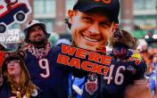 bears signs