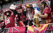 Arizona Cardinals fans